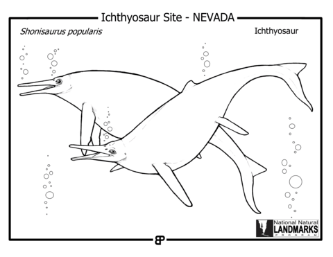 Ichthyosaur   Shonisaurus Popularis Coloring Page